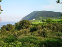 Il Monte Conero del Parco regionale visto da Ancona