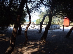 La pineta di Porto Sant'Elpidio con vista sul mare
